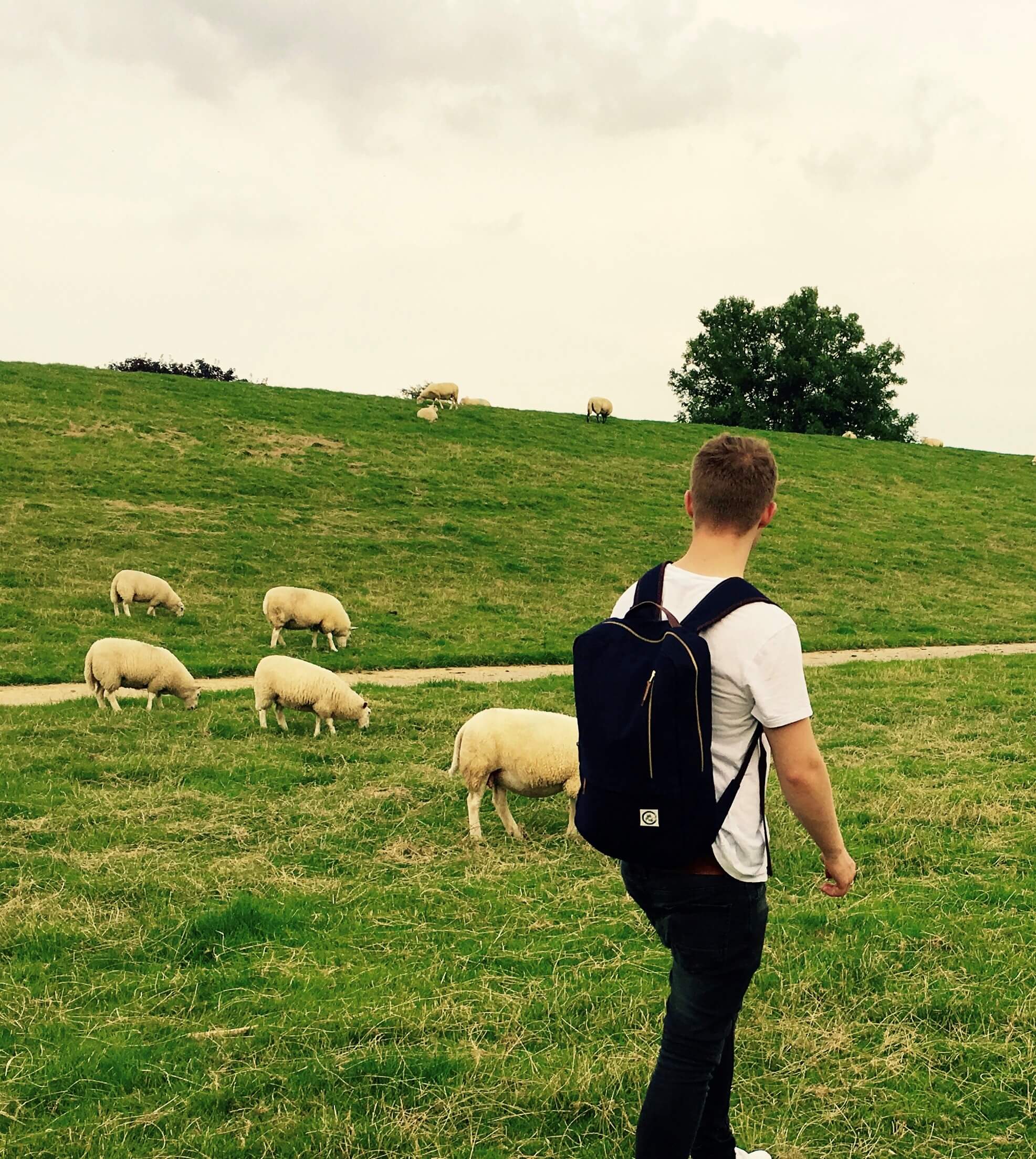 Mann trägt Webag L in schwarz